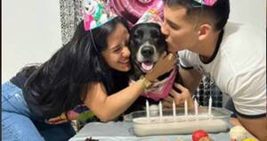 La Nación / Viral: exnovios se juntan para celebrar el cumple de su hija perruna
