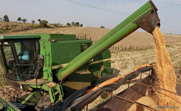 Paraguay exportó cerca de 1.900.000 toneladas de soja en primer trimestre del año