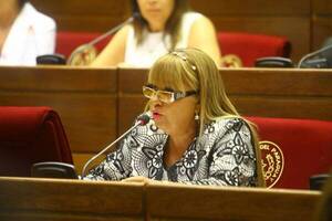 Vicepresidenta asegura que el PLRA todavía no accedió a créditos para financiar la campaña - ADN Digital
