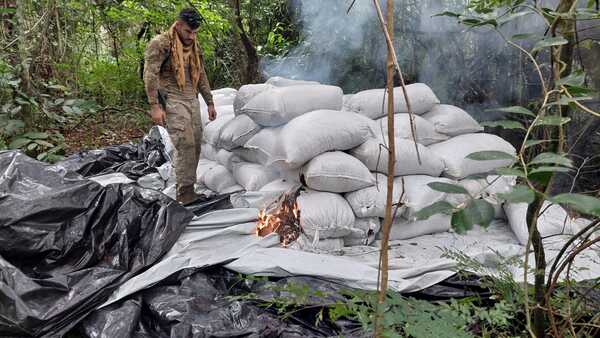 Otro fuerte golpe al narcotráfico: anulan 85.000 kg de marihuana en Yby Ya’u