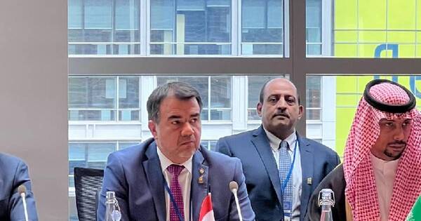 La Nación / Paraguay participó de Cónclave Ministerial sobre transición a economías verdes