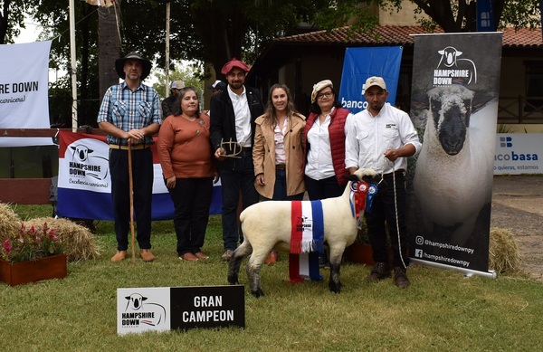 Campo 04 y Cabaña San Roque los Grandes Campeones Hampshire AO