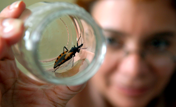 En el Día de la Enfermedad de Chagas, Paraguay no cuenta con casos desde 2018 | 1000 Noticias