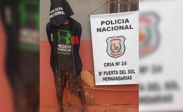 Hurtó hasta un perro de la raza Pitbull y fue aprehendido