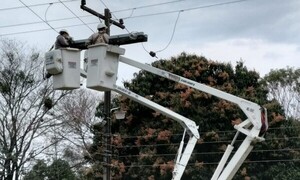 ANDE informa de cortes programados para este domingo en Coronel Oviedo - OviedoPress