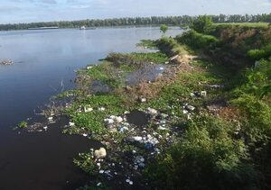 Diputados aprueban uso de barreras flotantes para retener basuras en arroyos y ríos - Nacionales - ABC Color