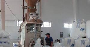 La Nación / Productores orgánicos paraguayos están a un paso de exportar a Taiwán
