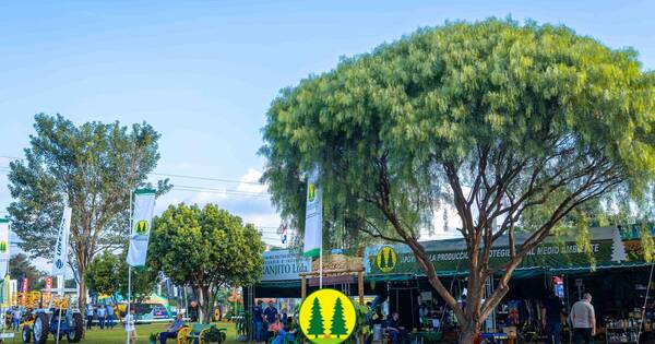 La Nación / Unas 80 empresas exponen el potencial del campo en el Agrofest 2023