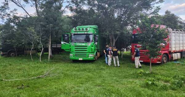 La Nación / Nuevas incautaciones y 2 detenidos en Nueva Italia