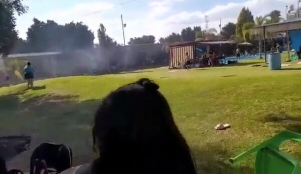 Hombres armados asaltan resort y matan a 7 en México