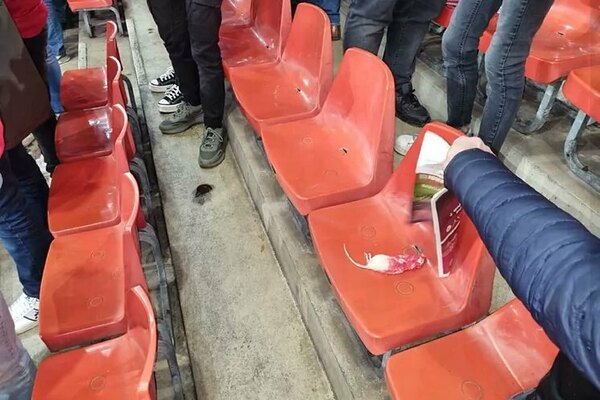 Versus / ¡Insólito! Hinchas arrojaron ratas muertas a la otra parcialidad en pleno clásico de Bélgica