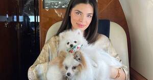 La Nación / ¡Se agrandó la familia! Nadia Ferreira presentó a Zuli, su nueva mascota