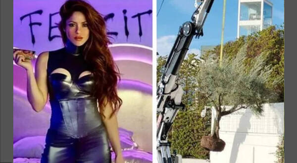 [VIDEO] ¡Al final! El árbol de Shakira terminó en un basurero