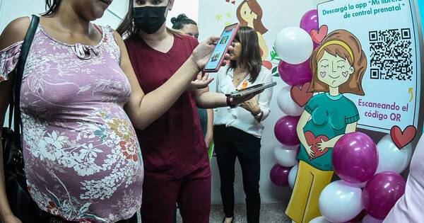 La Nación / Piden a las embarazadas extremar cuidados ante casos de chikungunya