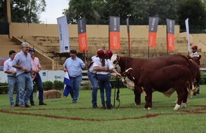 Don Atilio, con Diego e Inés en pista, volvieron a abrazar el mayor premio en hembras