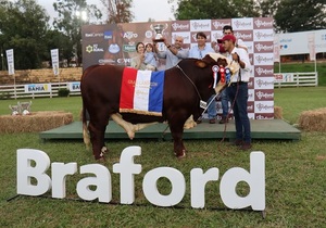 Gran Campeón Braford fue para cabaña “María Isabel” de Diego Duarte