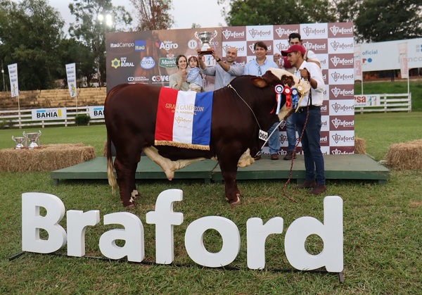Gran Campeón Braford fue para cabaña “María Isabel” de Diego Duarte