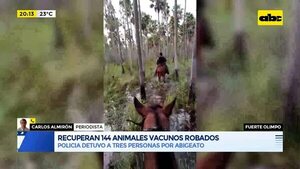 Video: Recuperan 144 animales vacunos robados - Periodísticamente - ABC Color