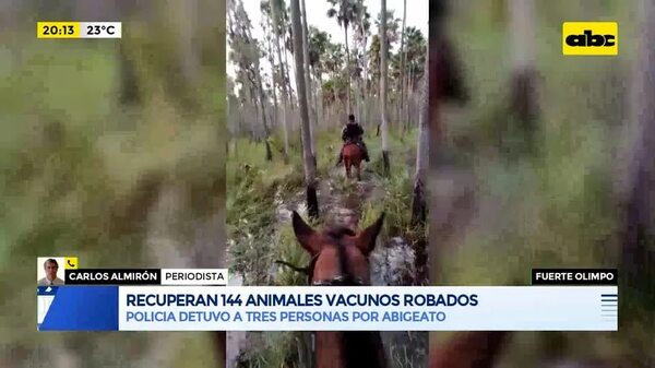 Video: Recuperan 144 animales vacunos robados - Periodísticamente - ABC Color