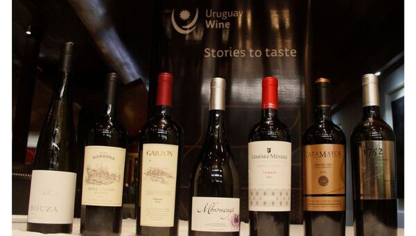 En el Día del Tannat celebramos en Paraguay el vino uruguayo