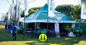 La Nación / En Itapúa, Agrofest reunió a unos 80 emprendimientos