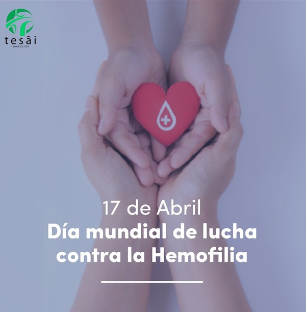 Fundación Tesãi celebra el Día Mundial contra la Hemofilia | DIARIO PRIMERA PLANA