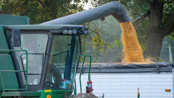 Hasta marzo se exportaron 3 millones de toneladas más de maíz 2022