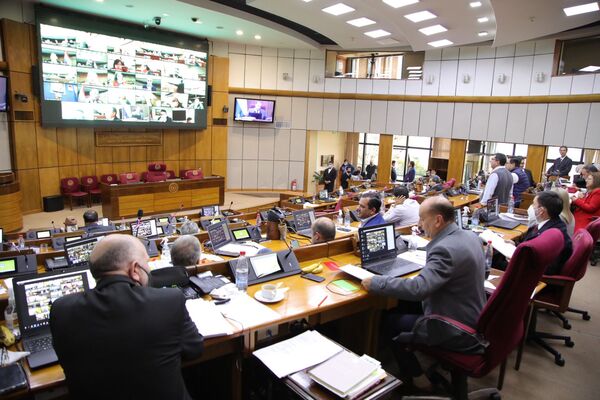Diario HOY | Puente de las elecciones: Desirée Masi pide adelantar sesión de la próxima semana