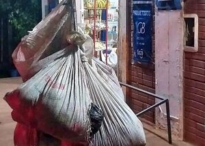 Faenan un animal vacuno y recuperan seis bolsas de carne en estancia de Carapeguá - Nacionales - ABC Color