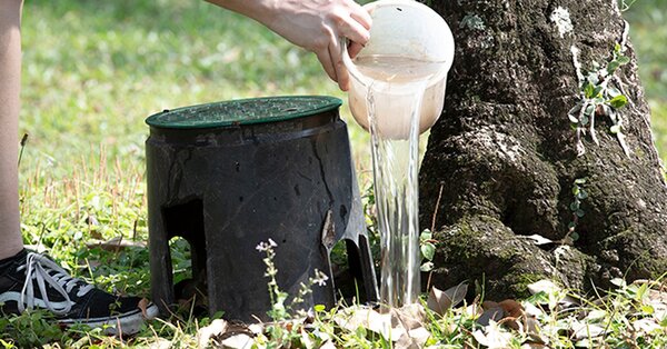 Refuerzan lucha contra el Aedes aegypti en Asunción y Central - trece