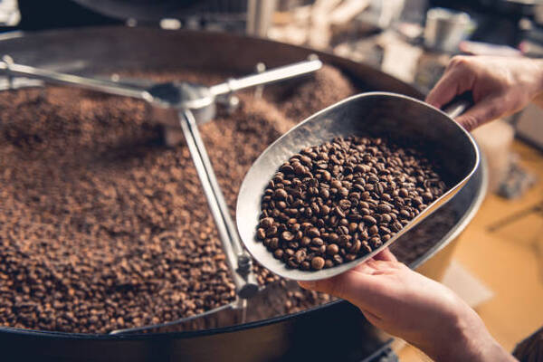 Sudamérica sigue liderando la producción mundial de café pese a sufrir su mayor caída en 20 años - Revista PLUS
