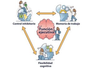Neurociencias (10) - Escolar - ABC Color