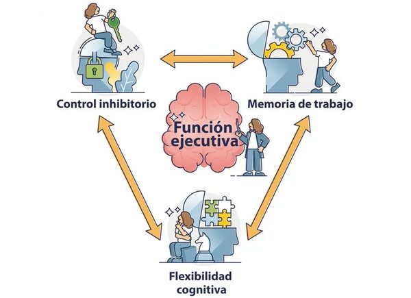 Neurociencias (10) - Escolar - ABC Color