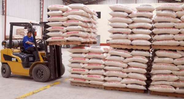 Hasta marzo se exportaron 3 millones de toneladas más de maíz que el 2022