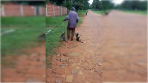[VIDEO] ¡Barbaridad! Karai arrastró a dos gatos con cuerda atada al cuello de los animales