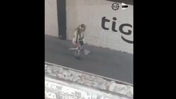 Olimpia preparó un emotivo video con "Pitín"