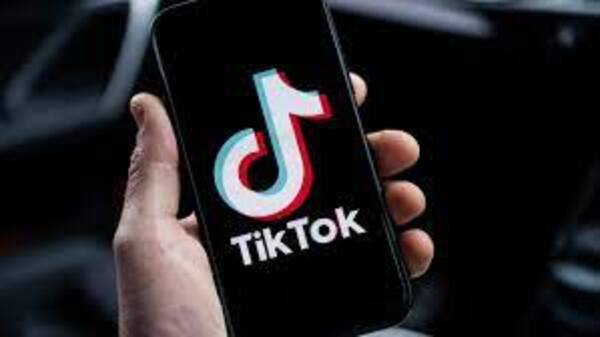 Tik tok y seguridad - El Independiente