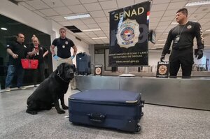 Dinero incautado en poder de presunta traficante pasa a cuenta de Senabico