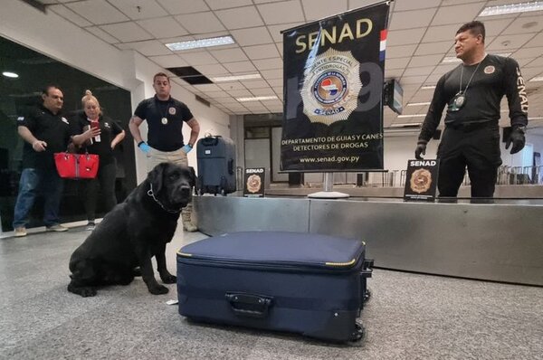 Dinero incautado en poder de presunta traficante pasa a cuenta de Senabico