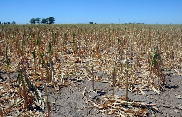 Dura sequía afecta el crecimiento del vecino país