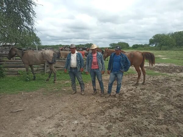 Imputación y prisión para supuestos abigeos en Fuerte Olimpo - Noticias del Chaco - ABC Color