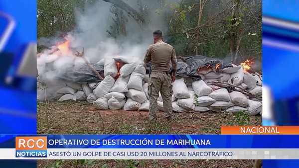 Operativo de destrucción de marihuana asestó un golpe de casi USD 20 millones al narcotráfico