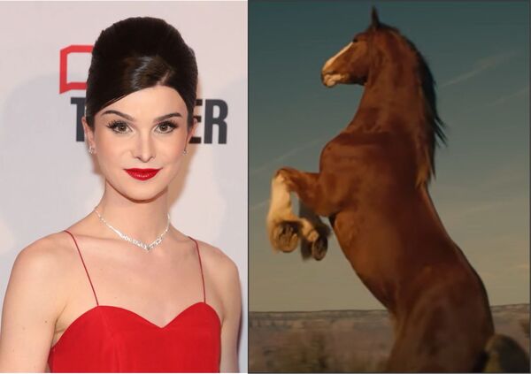 Por la caída en las ventas y el valor de las acciones, Budweiser abandona a su "influencer" trans e intenta con una publicidad "patriótica" - Informatepy.com