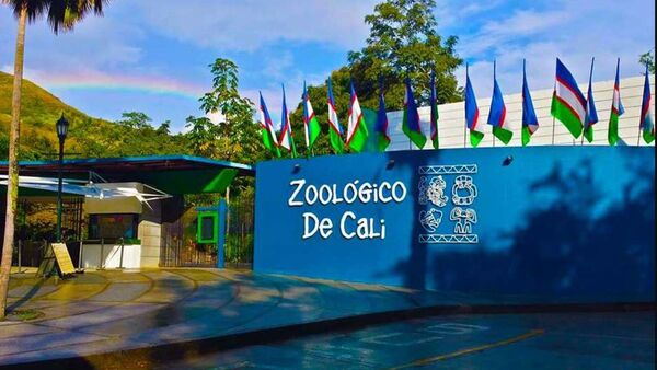 Paraguayo recurrió a autoridades colombianas para recuperar a su hijo