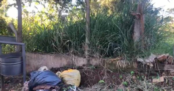 La Nación / Rodeada de criaderos, escuela de Encarnación presenta alumnos con síntomas de chikungunya