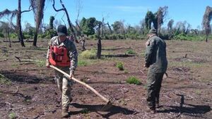 Policía realiza disparos y captura a tres personas con marihuana