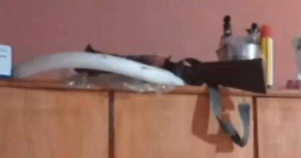 La Nación / Adolescente de 16 años falleció tras disparo accidental de escopeta en Limpio