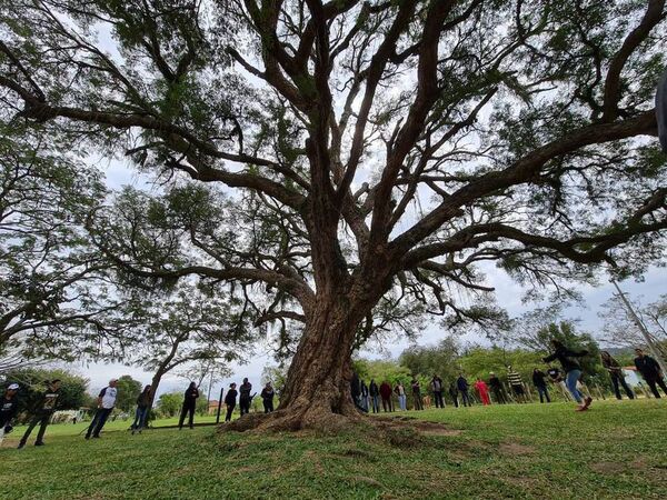 La Ruta de los Colosos ya es un hecho