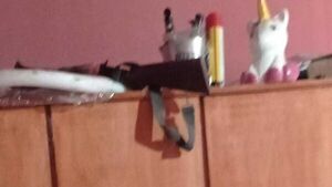 Escopeta se disparó y mató a un adolescente