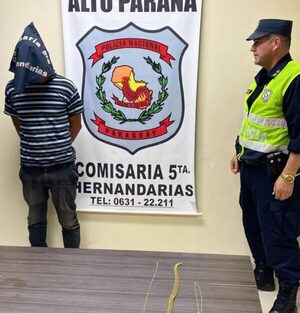 Capturan a delincuente con frondosos antecedentes